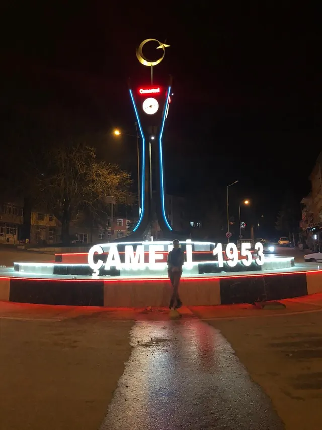 Pigaro anıt çalışması 13